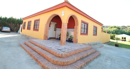 Among orange trees, rural farm