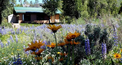 Privathaus, Bach, Teich, ruhige, ruhige, atemberaubende Landschaft