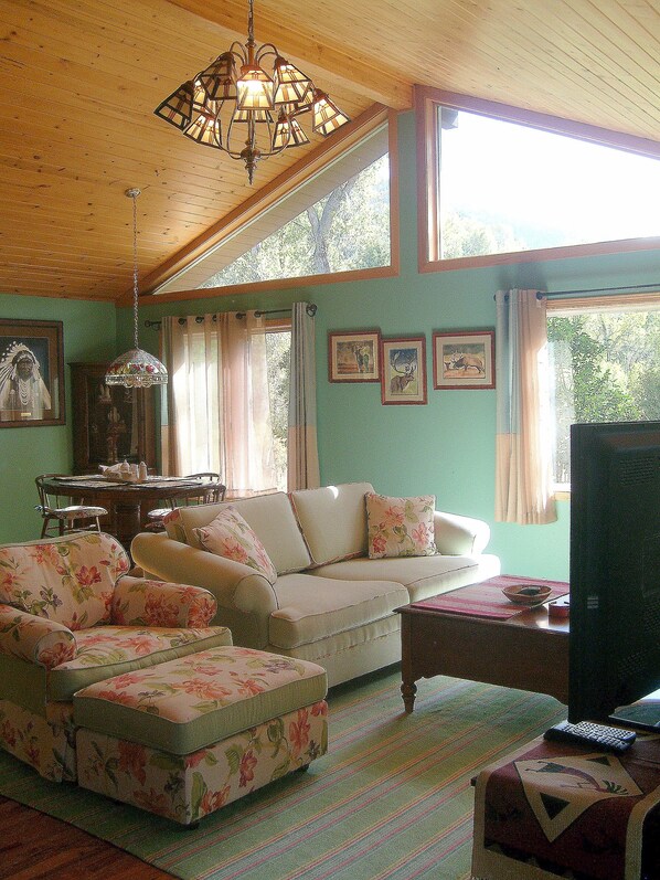 TV, DVD player, video library