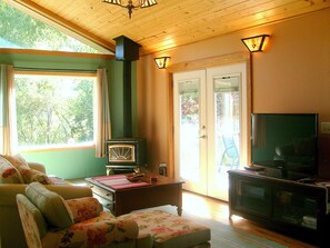 TV, DVD player, video library