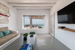 Smart TV, chimenea, reproductor de DVD y libros 