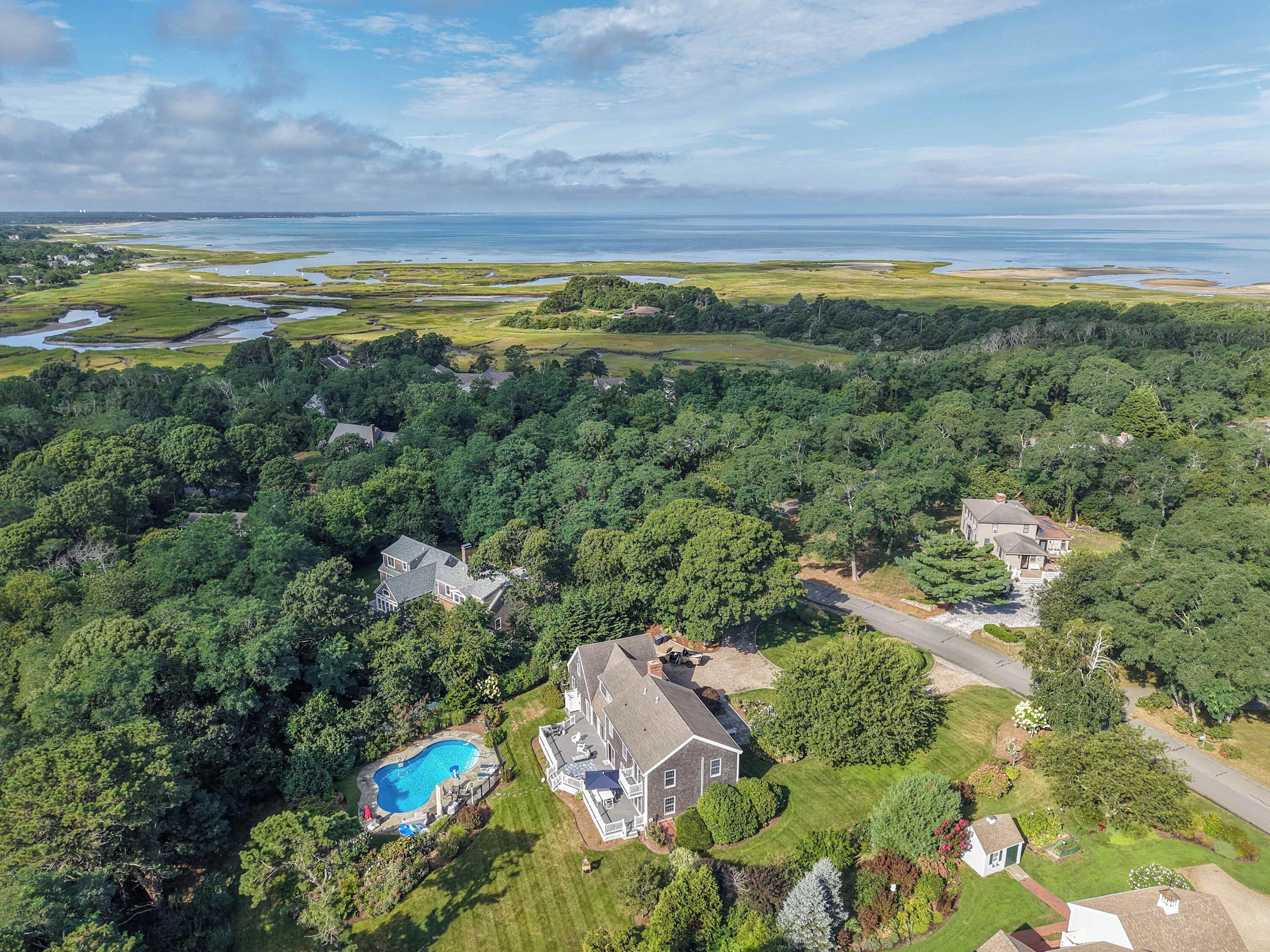 A residential area with multiple houses surrounded by dense greenery and a large body of water in the background.