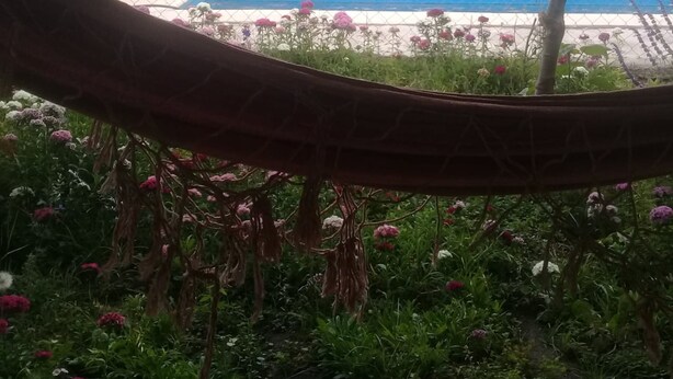 A hammock overlooking a swimming pool surrounded by lush greenery and flowers. - Descanso puntano (Carpintería)