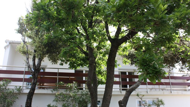 A building with a stone wall in the foreground and a balcony with wooden railings. - Pintar Apartment (Pag)