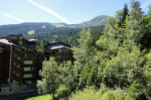Exterior - 1 Bed Apt, Sleeps 5, Sauna, Wifi, Covered Parking, Kitchenette, Close to Slopes (La Tania)