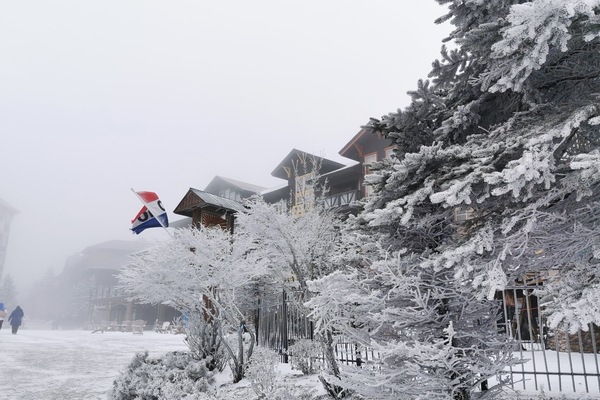 Snowy winter scene with frosted trees and buildings in the background