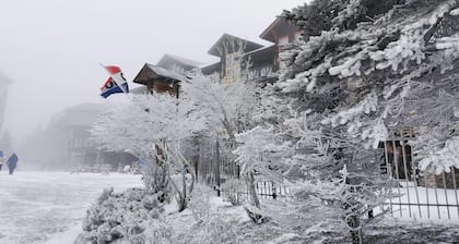 ❤️Great WiFi. Beautiful Home for a Ski Getaway. 15% off of ski rentals