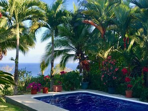 Outdoor pool - Splendid Serviced Guest House Ocean View Montezuma (Cóbano)