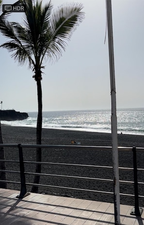Uma praia com uma palmeira e um corrimão de metal.