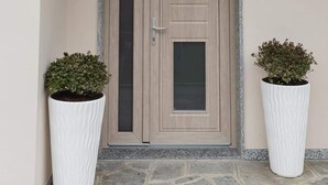 A beige door with a glass panel and a metal handle, flanked by two large white planters with shrubs.