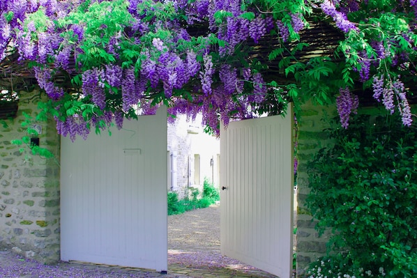 Front of property - Glycines Country Guesthouse (Goupillières)