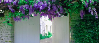 Glycines Country Guesthouse