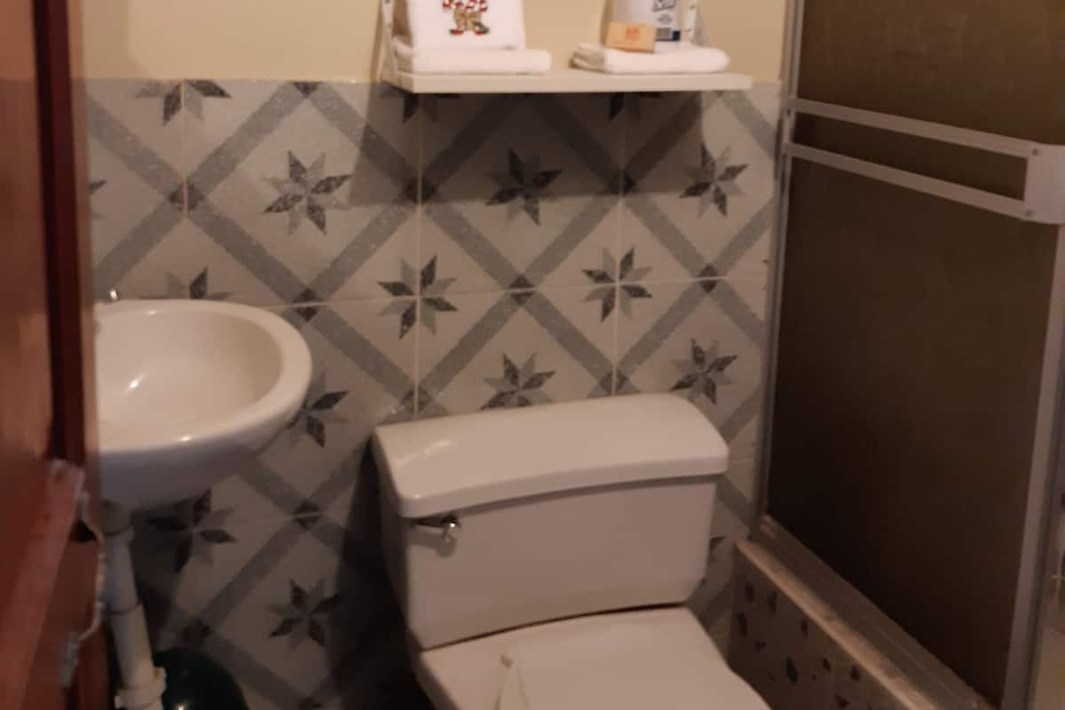 Classic Double Room | Bathroom | Shower, towels