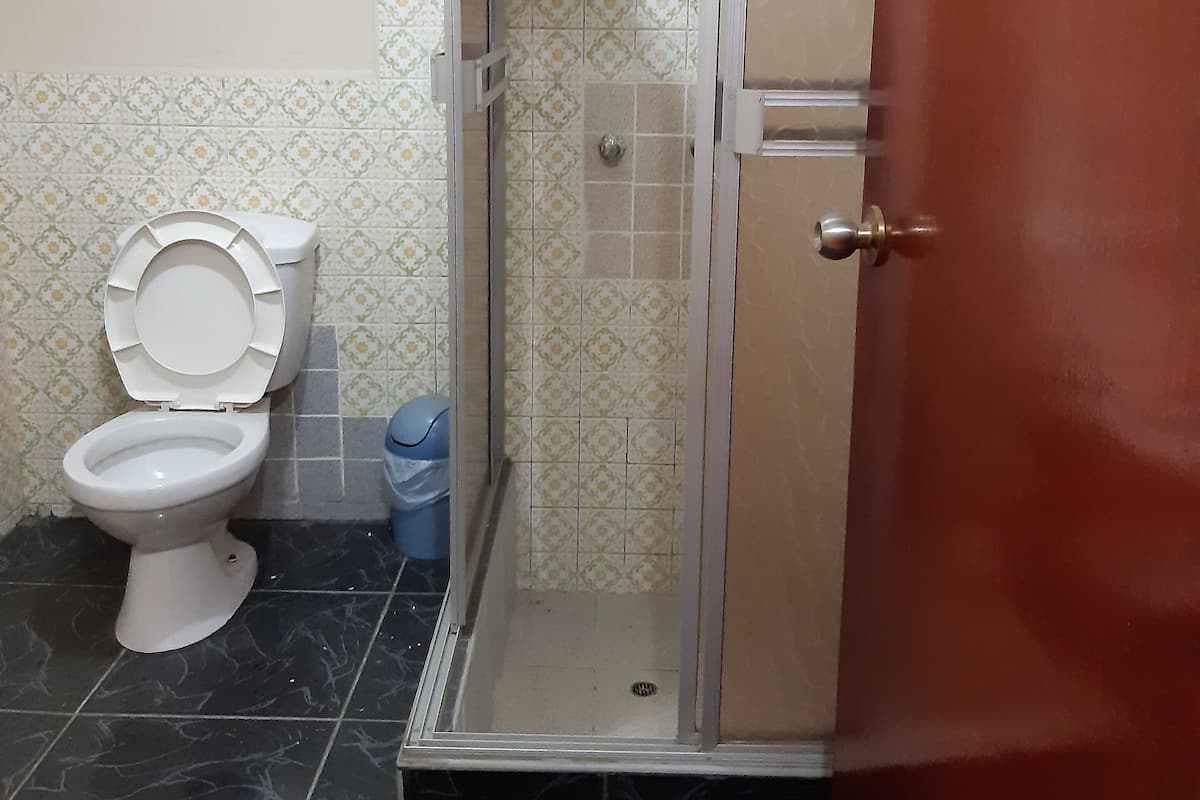 Classic Triple Room | Bathroom | Shower, towels