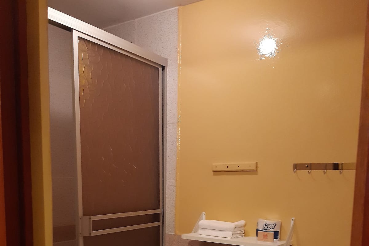 Premium Room | Bathroom | Shower, towels