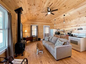 Fireplace, ping pong