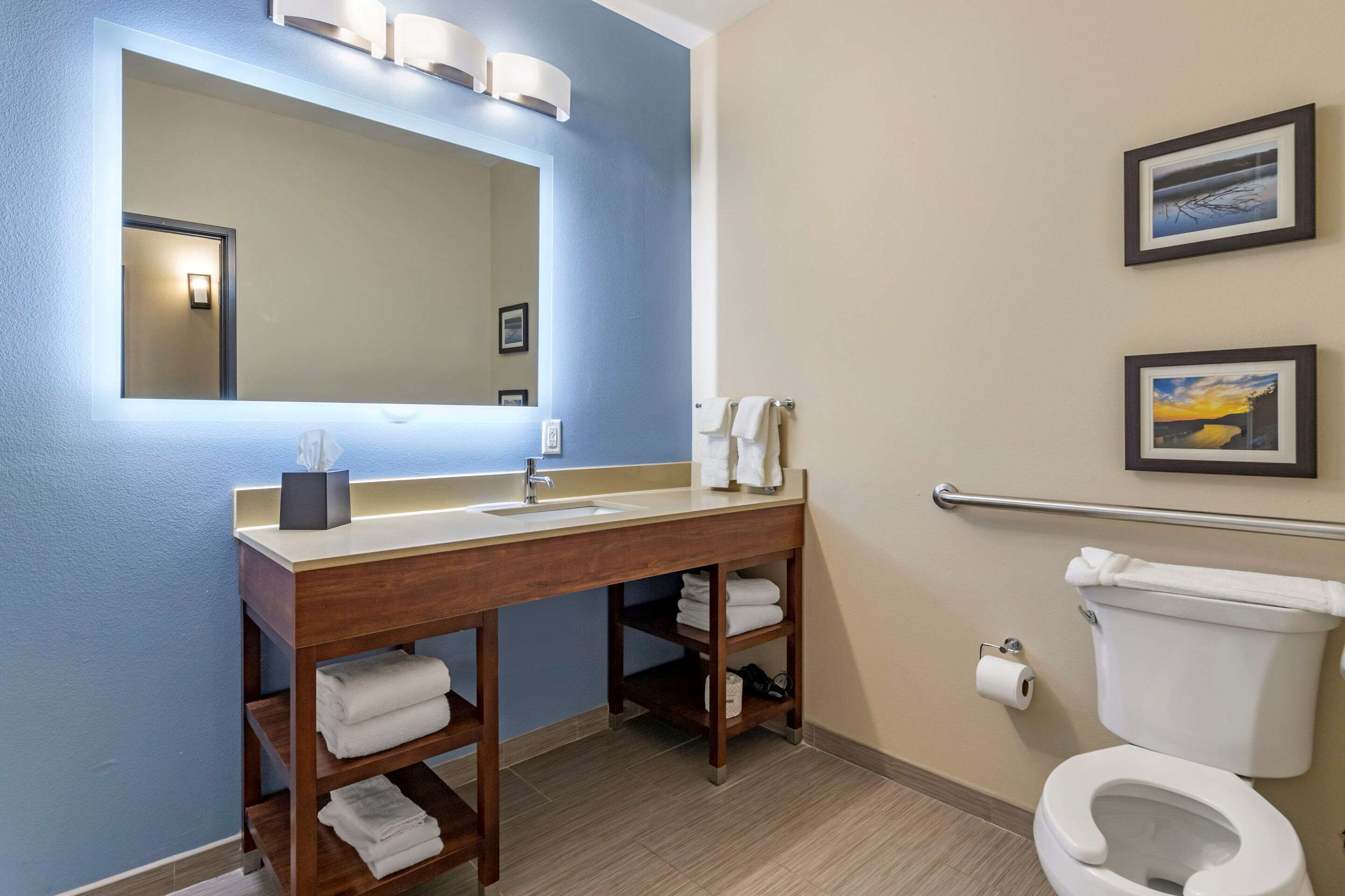 Un baño con un tocador de madera, un espejo grande, un inodoro y dos cuadros en la pared.
