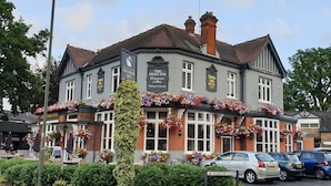 Un pub tradicional con un letrero que dice “The Swan Inn” y “Ales tradicionales”. Es un edificio de esquina con macetas de flores y un seto delantero.