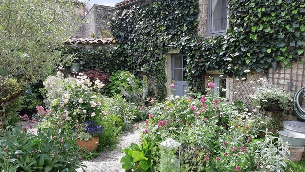 Un jardín con diversas plantas y flores, un sendero de piedra y un edificio con tejado de tejas cubierto parcialmente de hiedra.