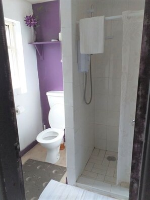 A bathroom with a toilet, shower, and a purple wall. - Wexford Townhouse (Wexford)