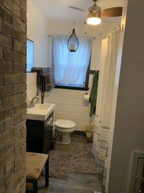 Bañera con ducha, secador de pelo, toallas