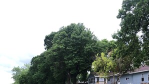Une propriété au bord du lac, dotée d’un mur de soutènement en pierre, d’un quai en bois et d’une maison avec une terrasse.
