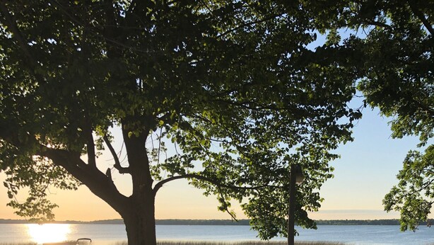 Une terrasse en bois avec une balustrade donnant sur un lac paisible, une jetée s’avançant dans l’eau et un arbre offrant de l’ombre.