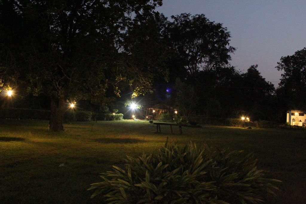 A nighttime outdoor area with trees and a bench.