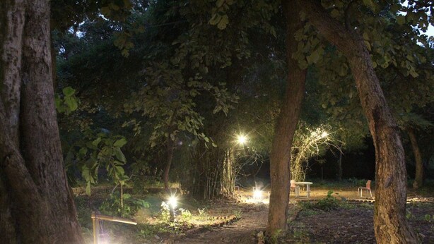 Un espacio al aire libre de noche con un sendero de tierra, árboles y zonas de estar iluminadas.