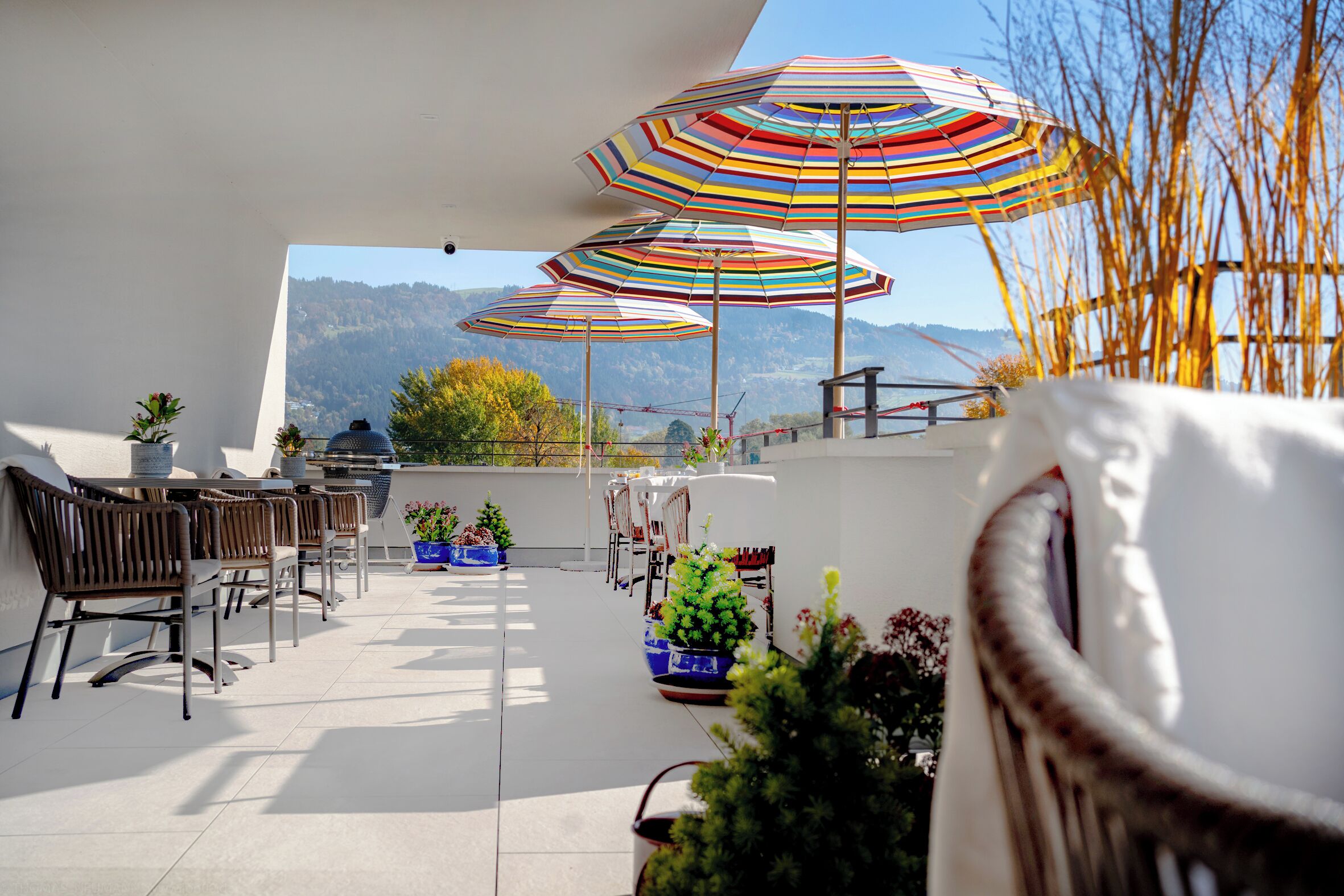 Standard-Einzelzimmer | Terrasse/Patio