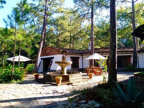 تناول الطعام بالخارج