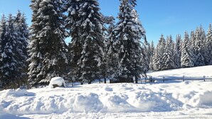 A snowy landscape with snow-covered trees and a bench. - Quiet & comfortable guest house on 20 acre ranch (careywood)