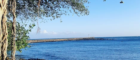 Plage à proximité, chaises longues