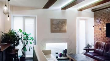 TV, fireplace, books