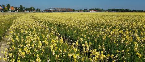 Terrain de lâhĂ©bergement