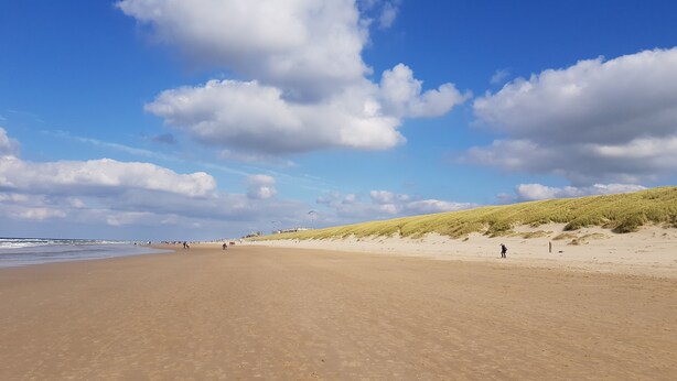 Une vaste plage de sable fin, bordée de douces dunes, et un ciel dégagé.