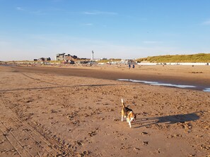 Beach nearby