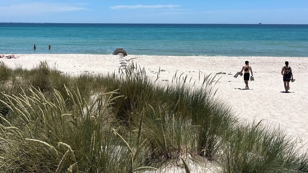 A beach with sand and sea, some people, and tall grass in the foreground. - McCrae: location, location! Boasting  bay views with the beach a 5 minutes walk. (McCrae)
