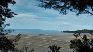靠近海滩、沙滩毛巾