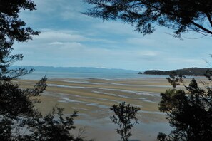 Gần bãi biển, khăn tắm biển