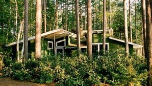 A cabin surrounded by tall trees, with a simple, rustic design and a sloped roof. - Hermits Hut Cabin with Lake View (Paul Smiths)
