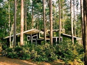 Een chalet omgeven door hoge bomen, met een eenvoudig, rustiek ontwerp en een schuin dak.