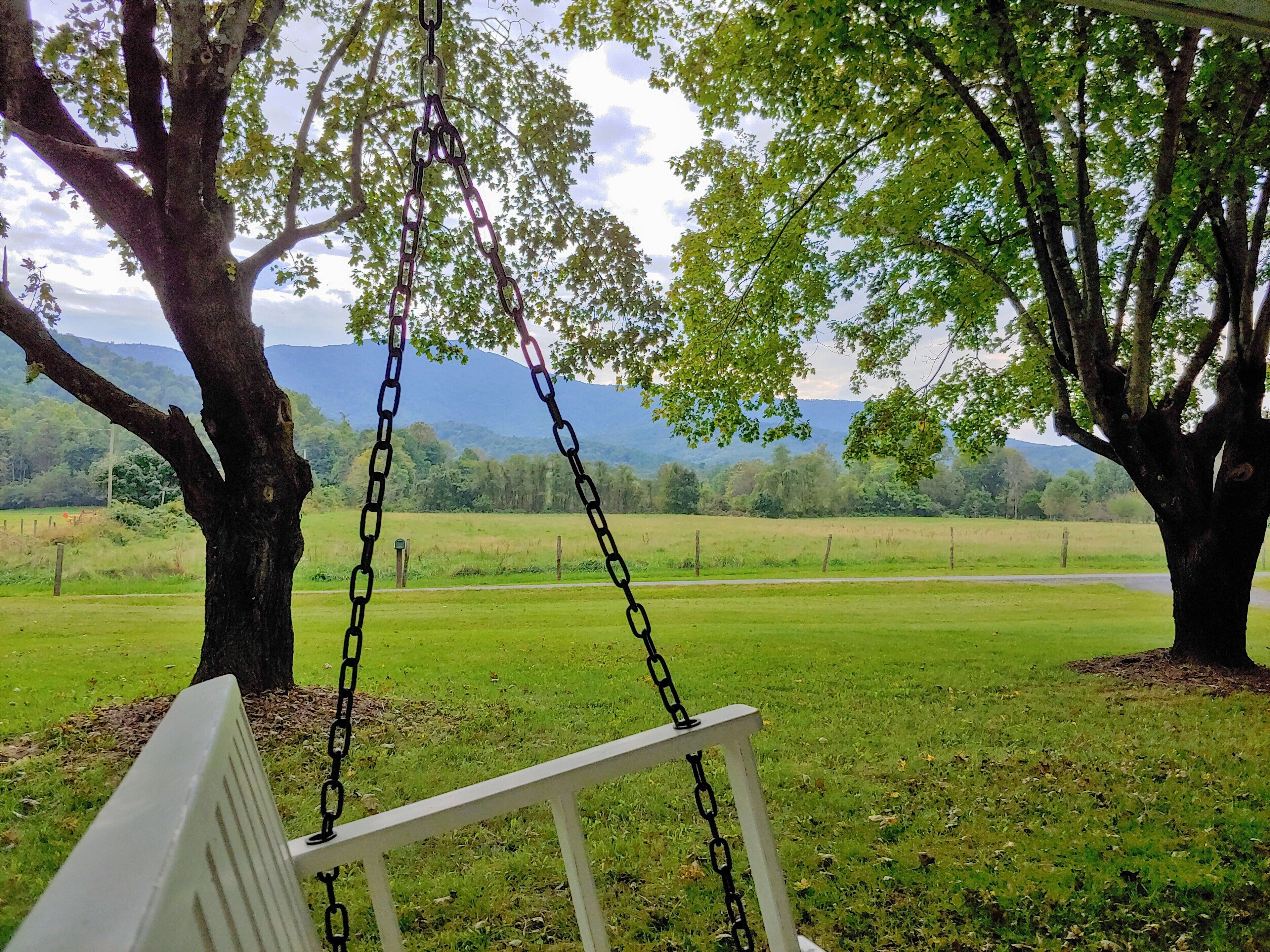 Khuôn viên nơi lưu trú