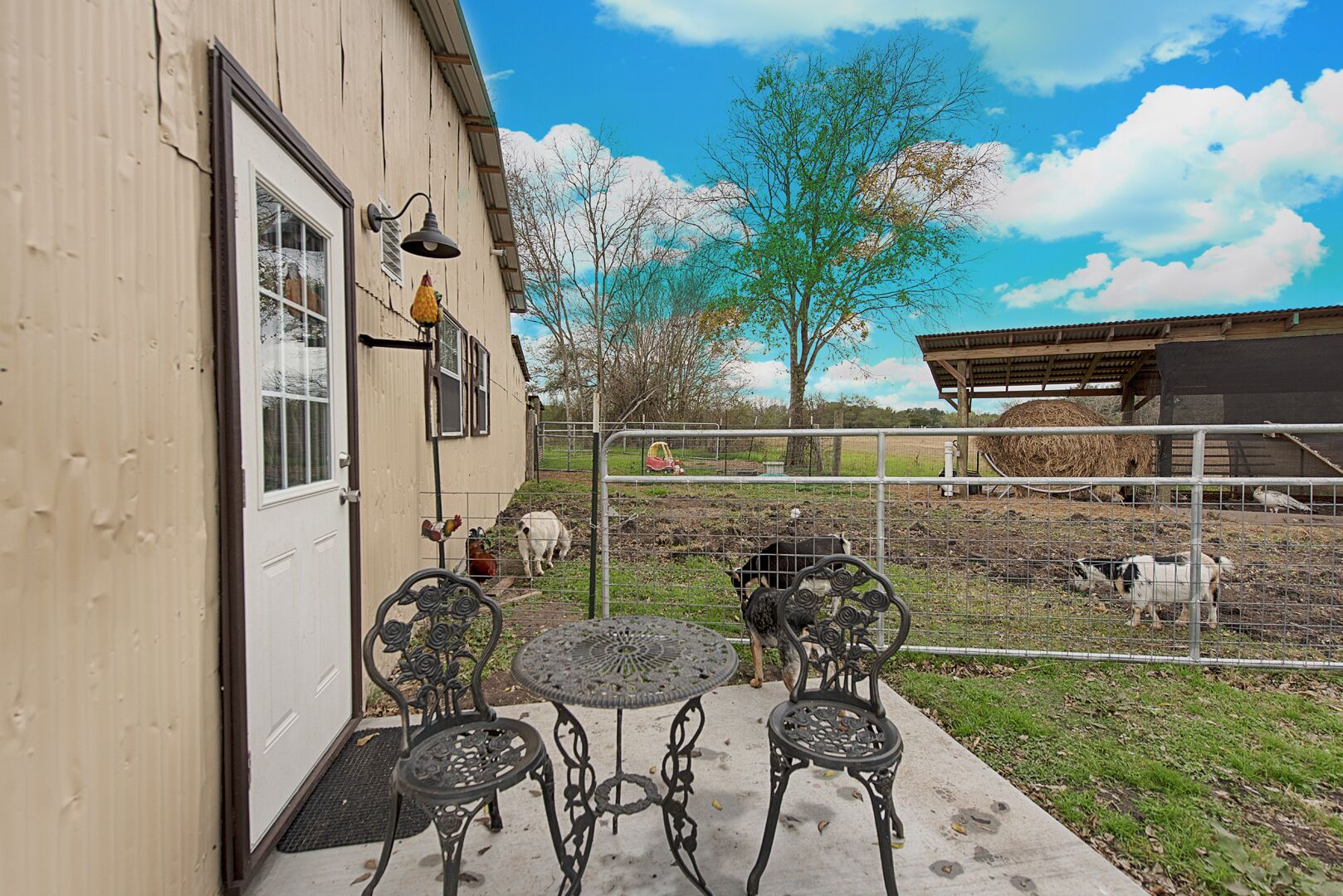 A patio with two metal chairs and a small round table, a wooden building with a door and windows, and a fenced area with animals and a tree in the background.
