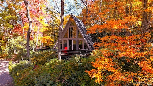 🌲Roaring Fork Chalet: MTN View, Hiking, Waterfalls, Trails - Dog Friendly!🐕‍🦺