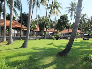 Vườn