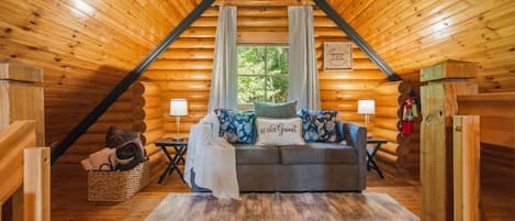 Smart TV, chimenea y libros