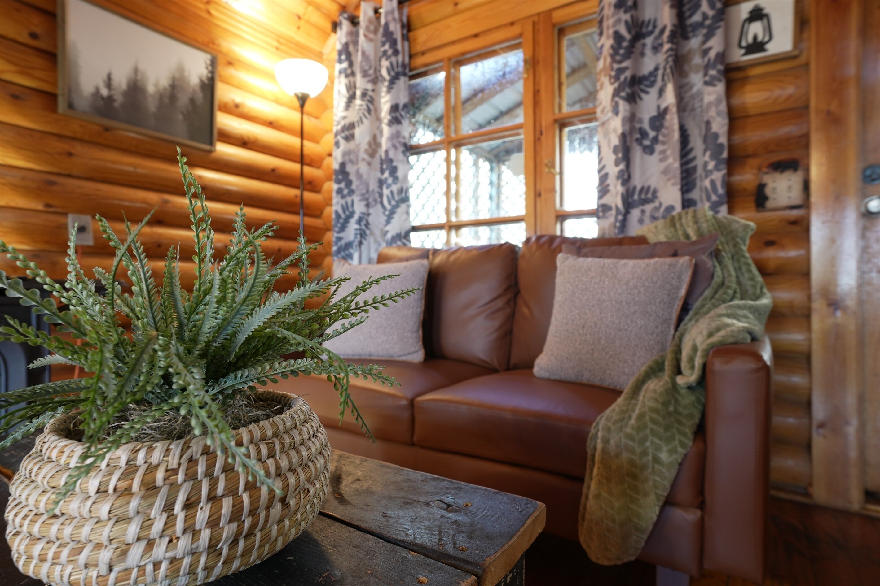 Smart TV, chimenea y libros 