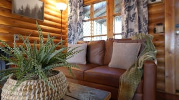 Smart TV, chimenea y libros