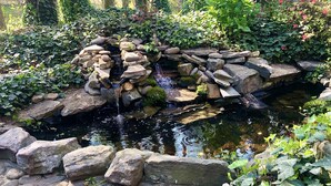 En have med et bassin, omgivet af sten og frodig vegetation.